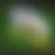 Zagraj Let It Ride z Playtech w {"id":65,"name":"22bet","design":{"logo":"22bet-logo-UoFhvg.svg","favicon":"22bet-favicon-LcnPPX.png","banner_poker":"22bet-poker-jeVXKf.webp","banner_mobile":"22bet-mobile-JsDzFY.webp","block_bg_color":"#115e59","image_bg_color":"#333","banner_bg_color":"#115e59","block_text_color":"#ffffff","primary_bg_color":"#f8fafc","banner_text_color":"#fff","footer_logos_type":"black","block_round_radius":"0.5rem","primary_text_color":"#064e3b","button_round_radius":"9999px","banner_welcome_bonus":"22bet-welcome-bonus-3ArYJr.webp","primary_button_bg_color":"#dc2626","primary_button_text_color":"#fff","secondary_button_bg_color":"#0d9488","secondary_button_text_color":"#fff"},"created_at":"2025-05-14T09:25:22.000000Z","updated_at":"2025-05-14T09:25:22.000000Z","deleted_at":null}